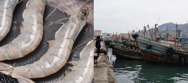 建造一個海鮮冷庫多少錢？